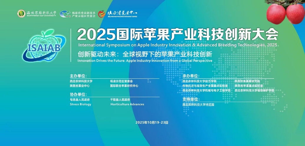 图片包含 图示 AI 生成的内容可能不正确。