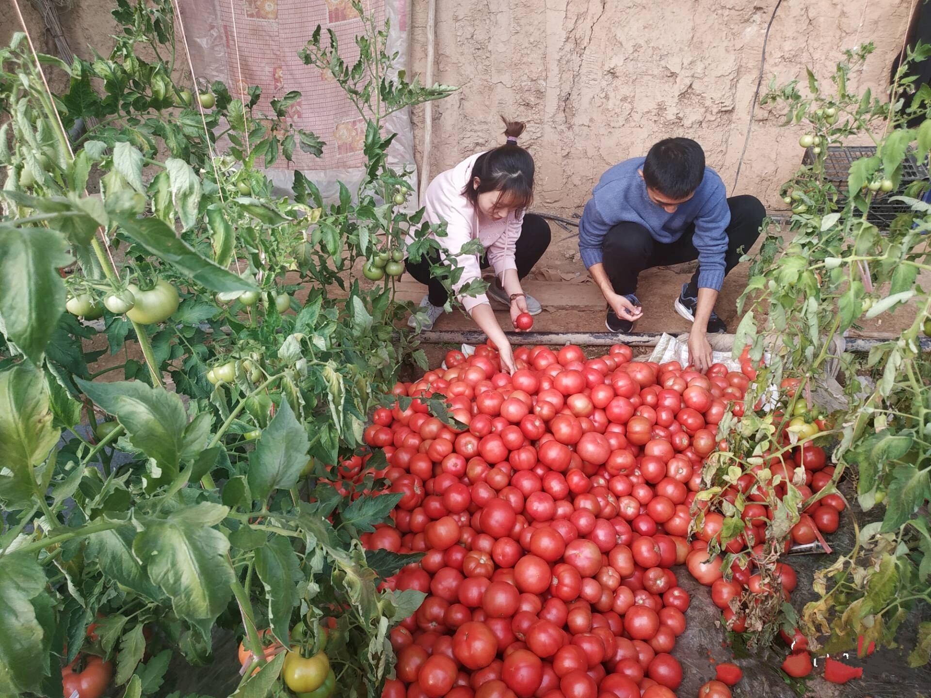 d02fcdbfa703450c999f83249929ca28.jpg d02fcdbfa703450c999f83249929ca28.jpg