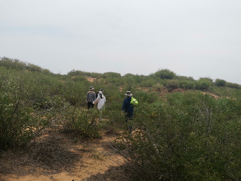 3e6d250cb79e4192b5522adf9de6ee6f.jpg 3e6d250cb79e4192b5522adf9de6ee6f.jpg