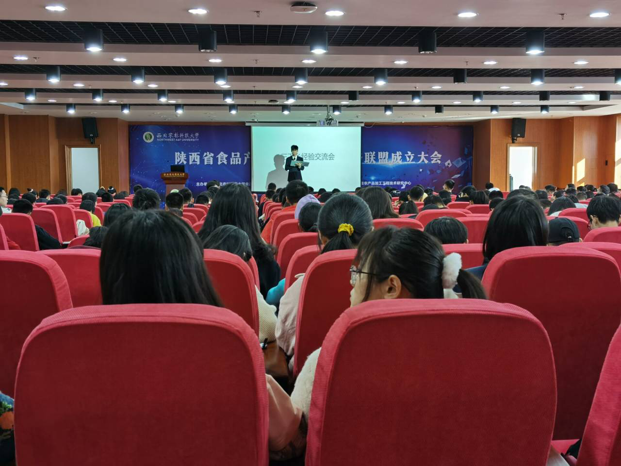 e28f70a8078c487699eef198172d1a82.png e28f70a8078c487699eef198172d1a82.png