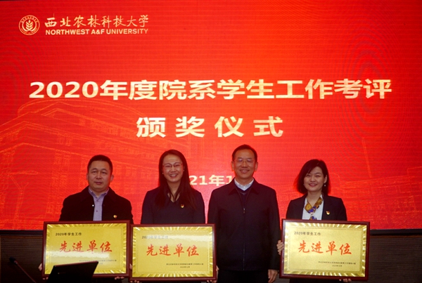 2fc4a98e24474a70b39a35539efd5f0d.jpg 3.jpg