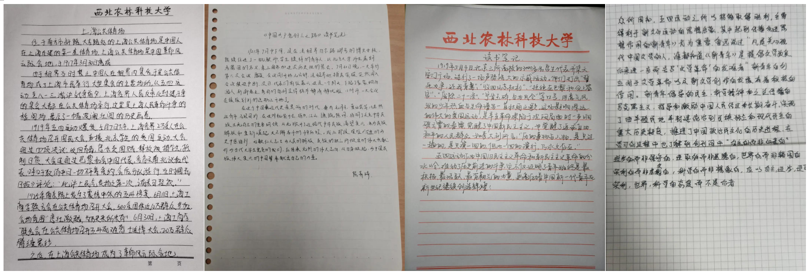 193dd2c1a3dd41adb50c240999f972d0.png 193dd2c1a3dd41adb50c240999f972d0.png