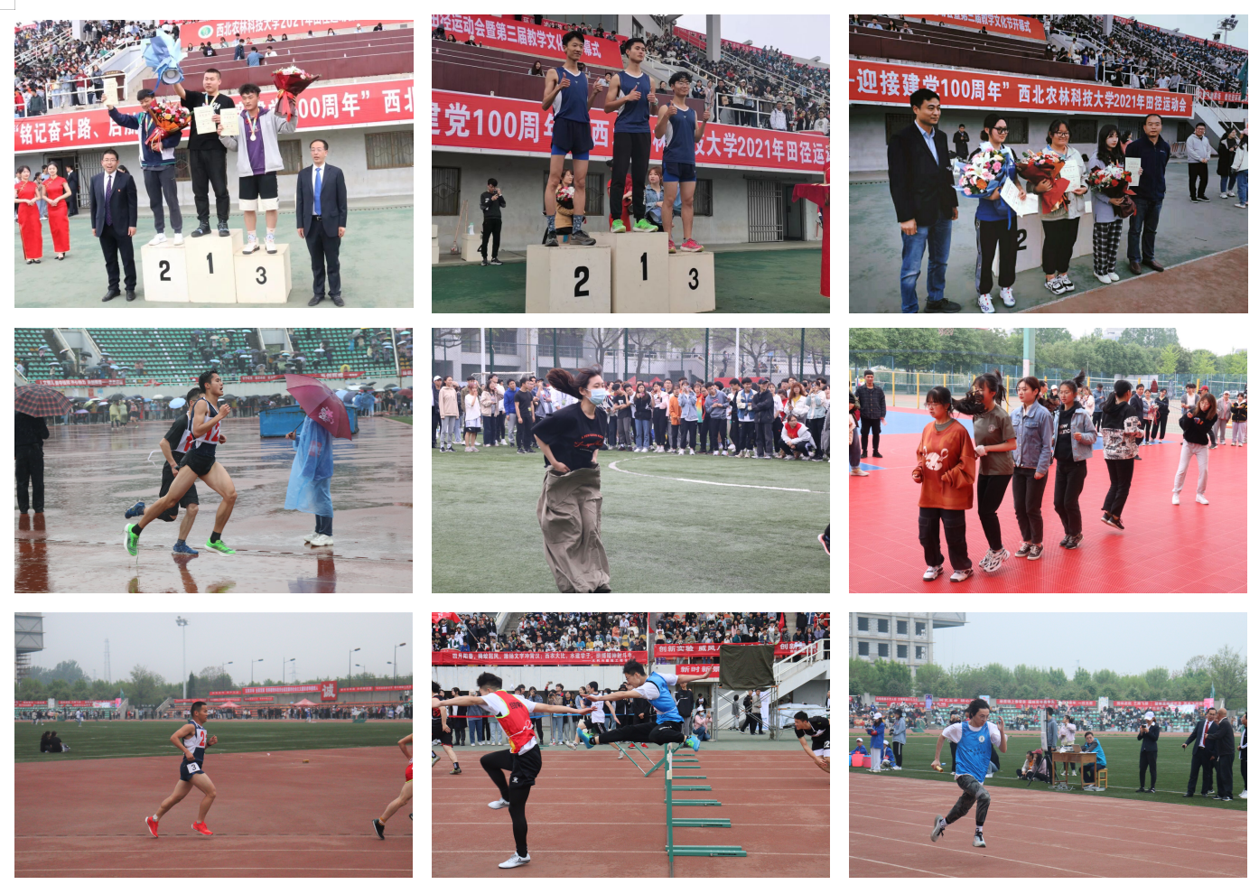 502e4c4331364bbcbeaae666b804b1df.png 502e4c4331364bbcbeaae666b804b1df.png