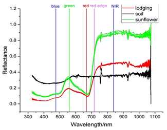 f440db72d286478fa4eb8cfb973d57d2.png image.png