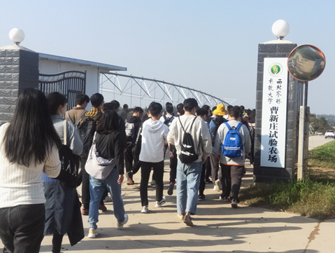 1b4d3f9dab464318a8f26ca3e3eaff66.png image.png