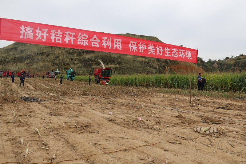 095a49069f5b4e67a08e39d02269f8c5.jpg 3.JPG