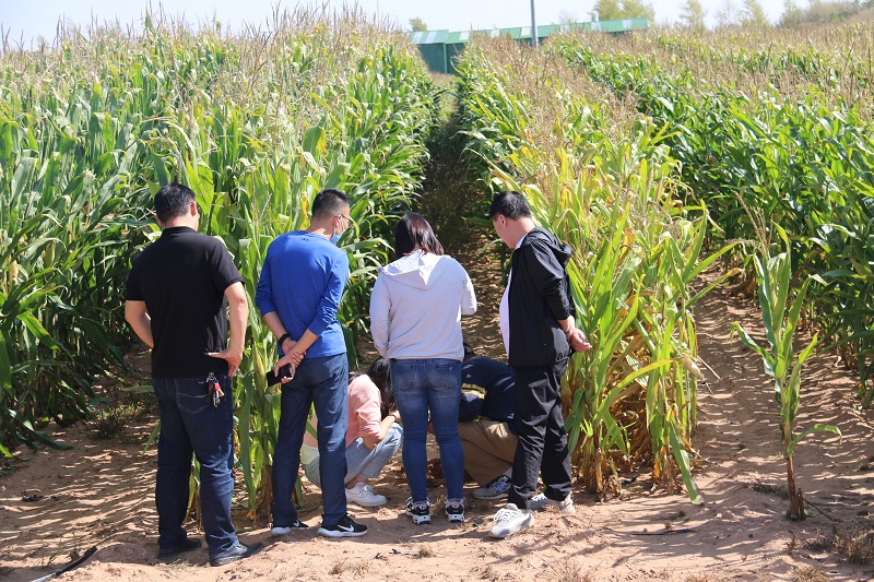 e97d1b9e43b8473b9615a6294d432865.jpg 2.JPG