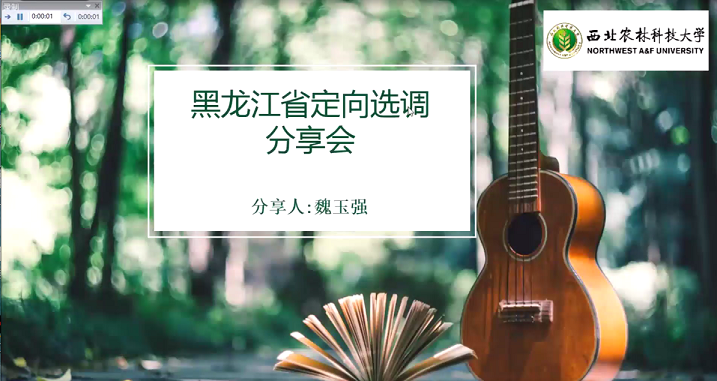 008192896e7d485089761b39bcf7c79a.png 12.png