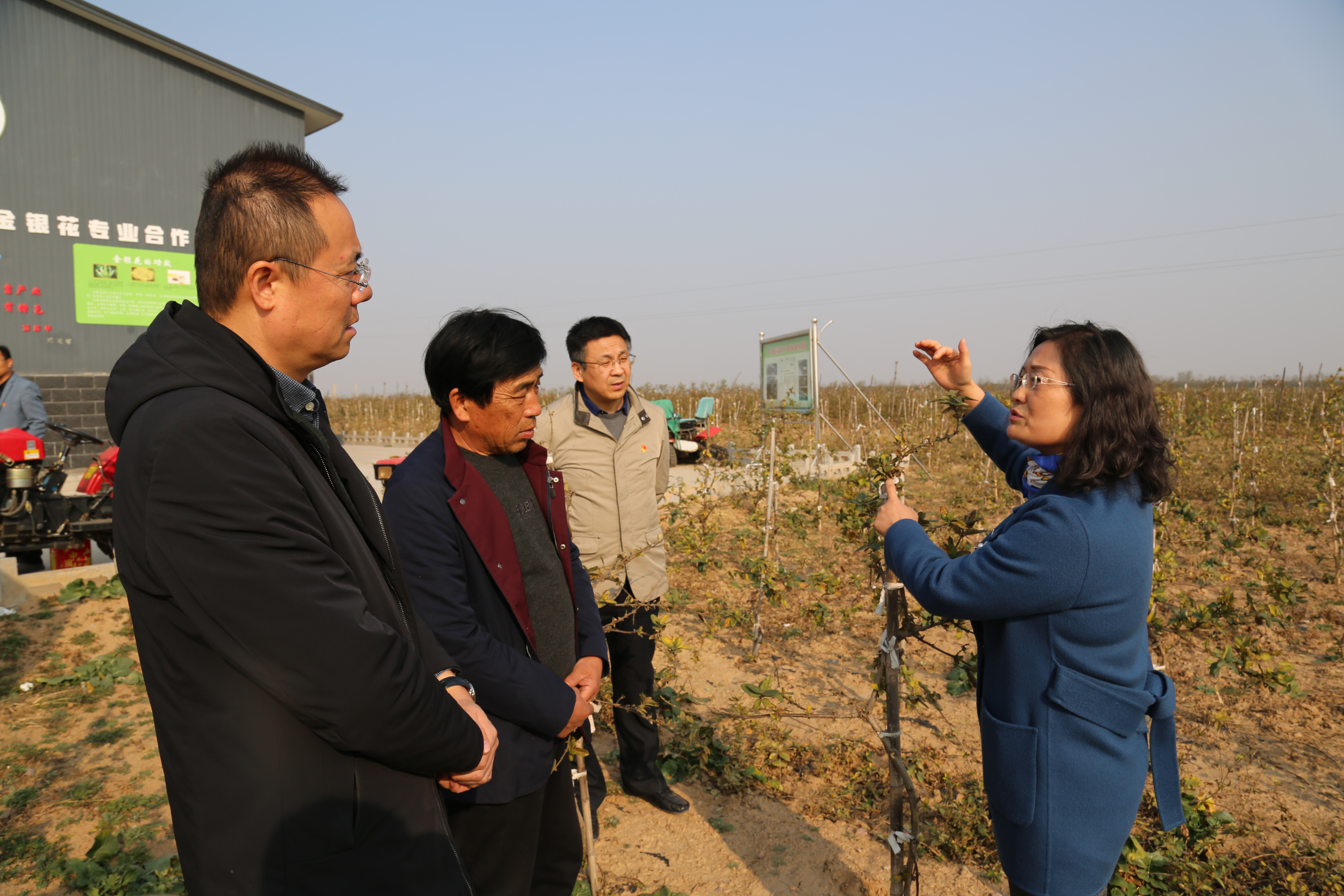 13716226a077479e8f7a333ffd533f36.jpg 13716226a077479e8f7a333ffd533f36.jpg