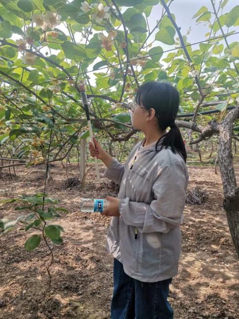 0d20a117167648aba3519d66934d4fbd.png 0d20a117167648aba3519d66934d4fbd.png