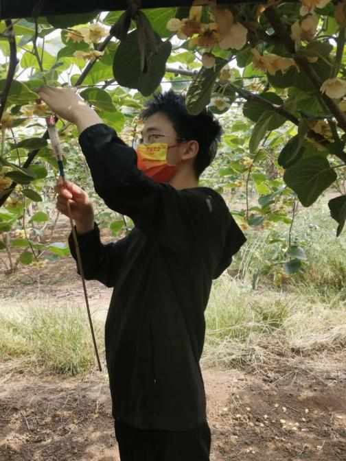 8901d12c295541d88a4ce0fd77f5526b.png 8901d12c295541d88a4ce0fd77f5526b.png