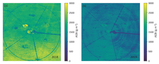 8e5c3b878c7d4679aae54157cc7520a5.png image.png