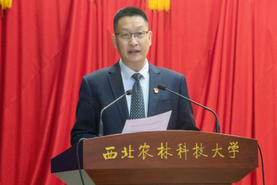 bbafdb77800741b2acf744a0de80e45f.png bbafdb77800741b2acf744a0de80e45f.png