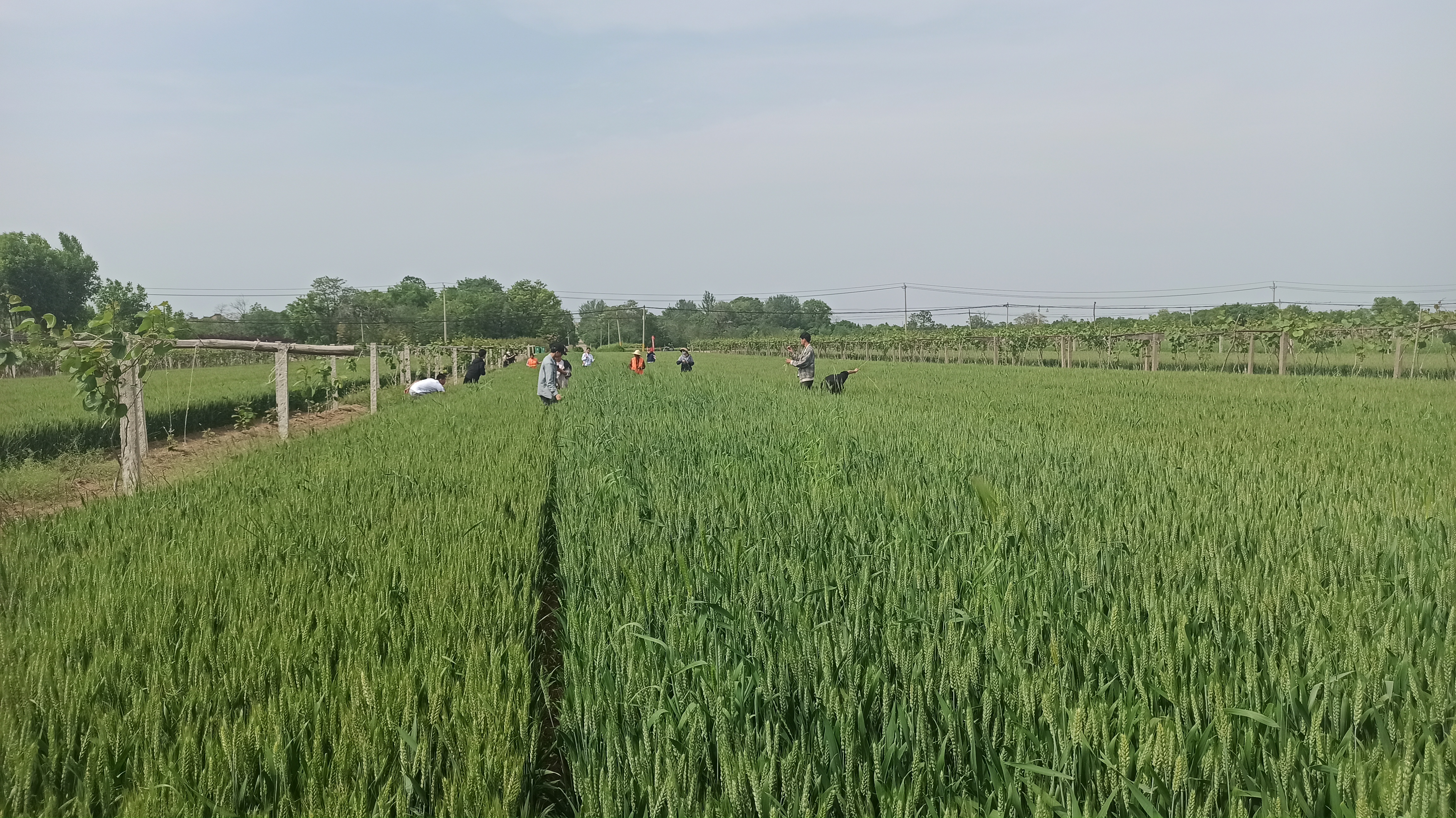 32af2277bb4d48889a510a558fc16f05.jpg 32af2277bb4d48889a510a558fc16f05.jpg