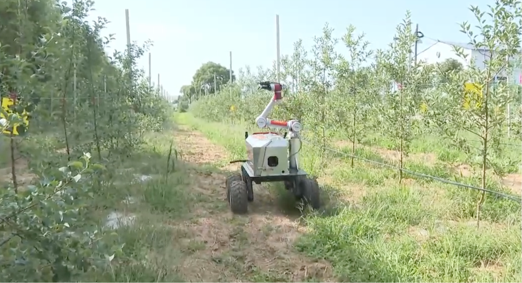 智能机械进果园 科技赋能产业兴